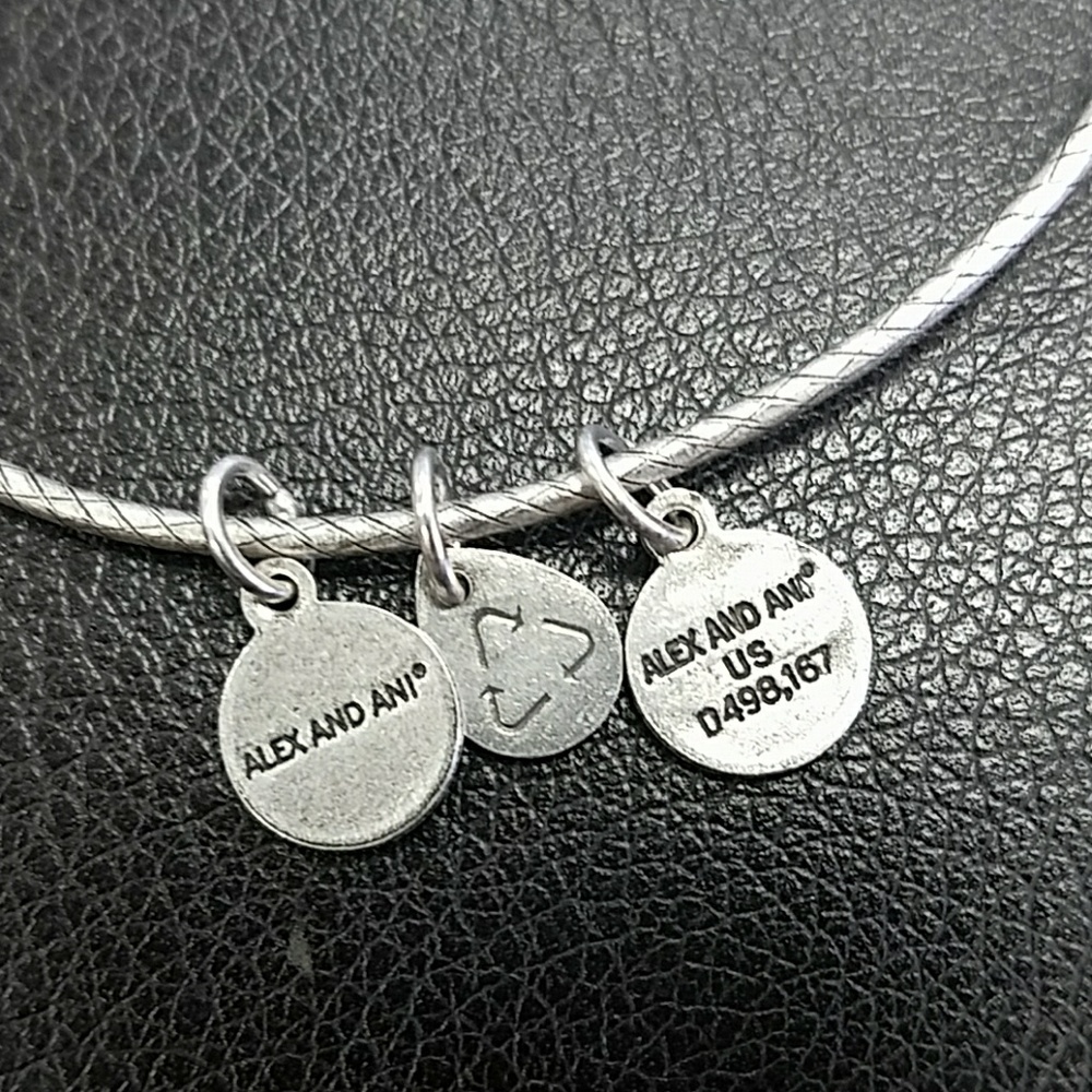 Alex and Ani Bracelet